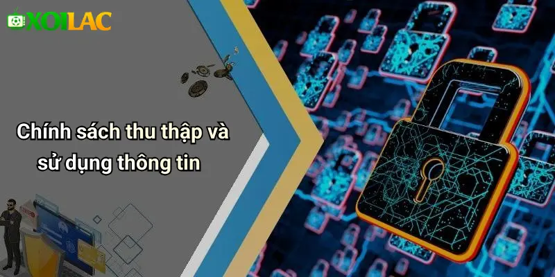 Chính sách thu thập và sử dụng thông tin