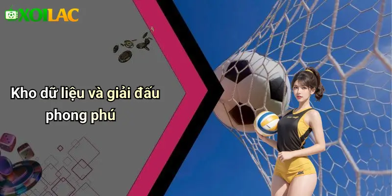Kho dữ liệu và giải đấu phong phú