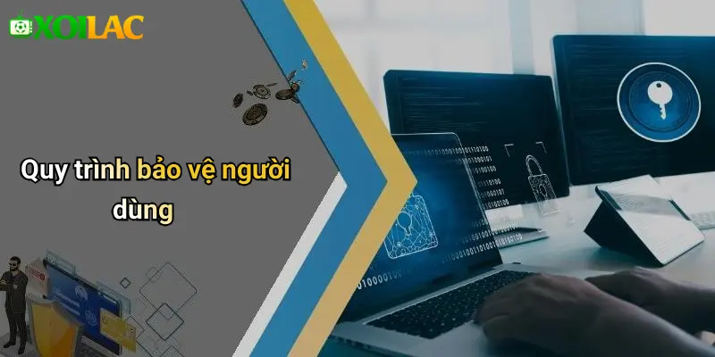 Quy trình bảo vệ người dùng