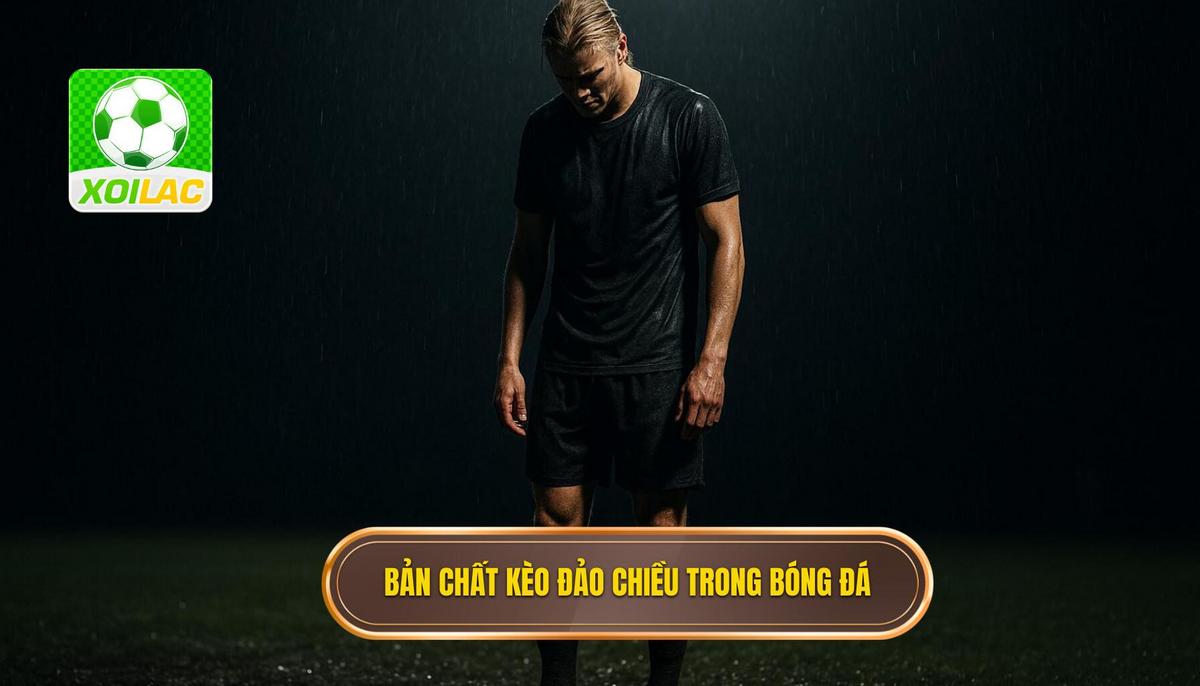 Bản chất chuyên sâu của kèo đảo chiều trong bóng đá