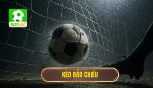 thumb - kèo đảo chiều