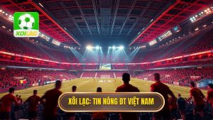 Tin nóng đội tuyển Việt Nam: Bước ngoặt lịch sử và khát vọng vươn tầm