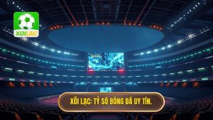 Tỷ số bóng đá hôm qua - Cập nhật kết quả và phân tích chuyên sâu các giải đấu