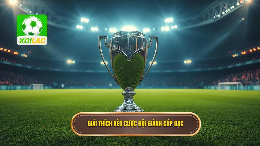 Kèo cược đội giành cúp bạc là gì?