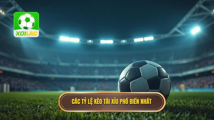 Các tỷ lệ kèo bóng đá tài xỉu phổ biến nhất hiện nay