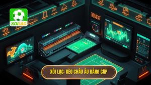 Cách đọc kèo bóng đá châu Âu chuẩn xác nhất cho người mới 2024