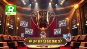 Kèo cược đội giành cúp bạc: Kinh nghiệm soi kèo chuẩn từ XÔI LẠC