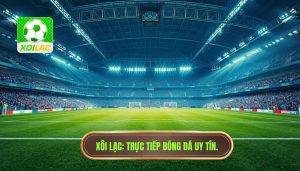 Trận cầu đang đá phút 1–90: Nghệ thuật theo dõi và phân tích bóng đá trực tuyến